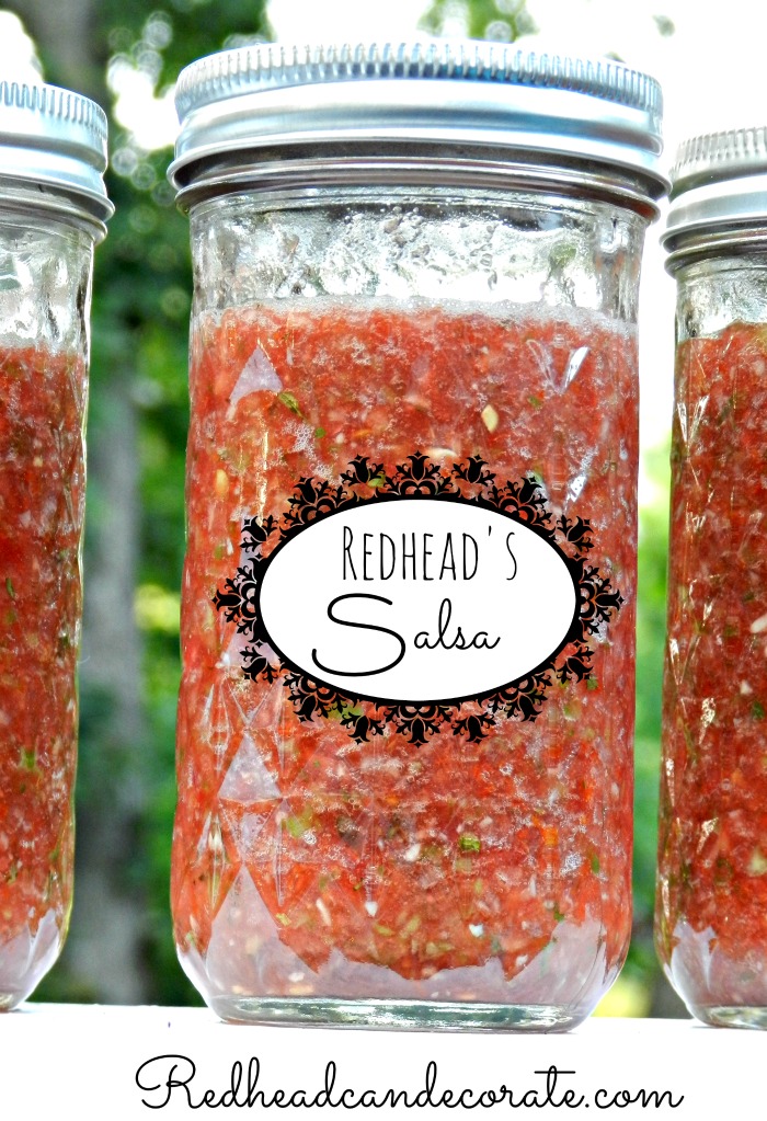 Amazon Best Sellers: Best Salsa
