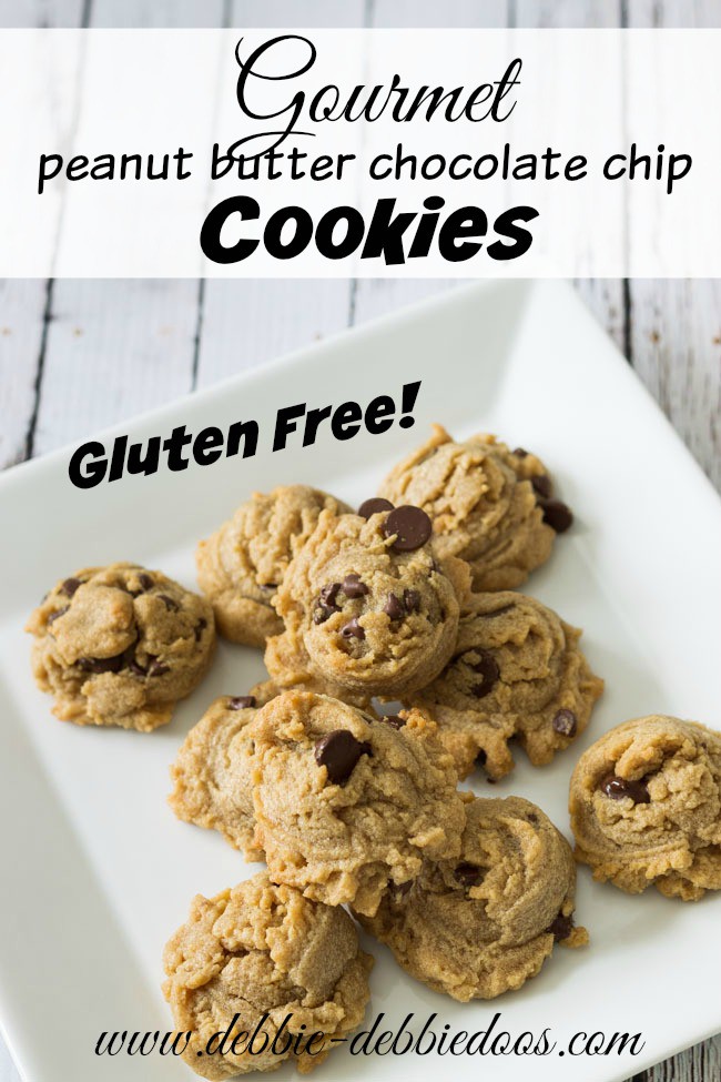 Gluten free gourmet peanut butter chocolate chip cookies Debbiedoos