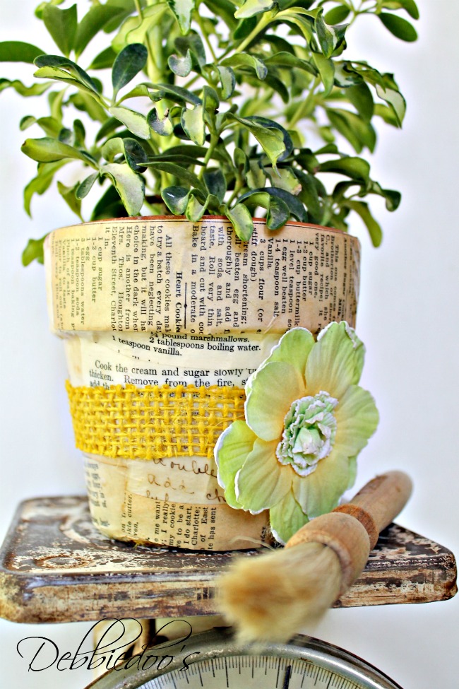 How to mod podge on terra cotta pots Debbiedoos