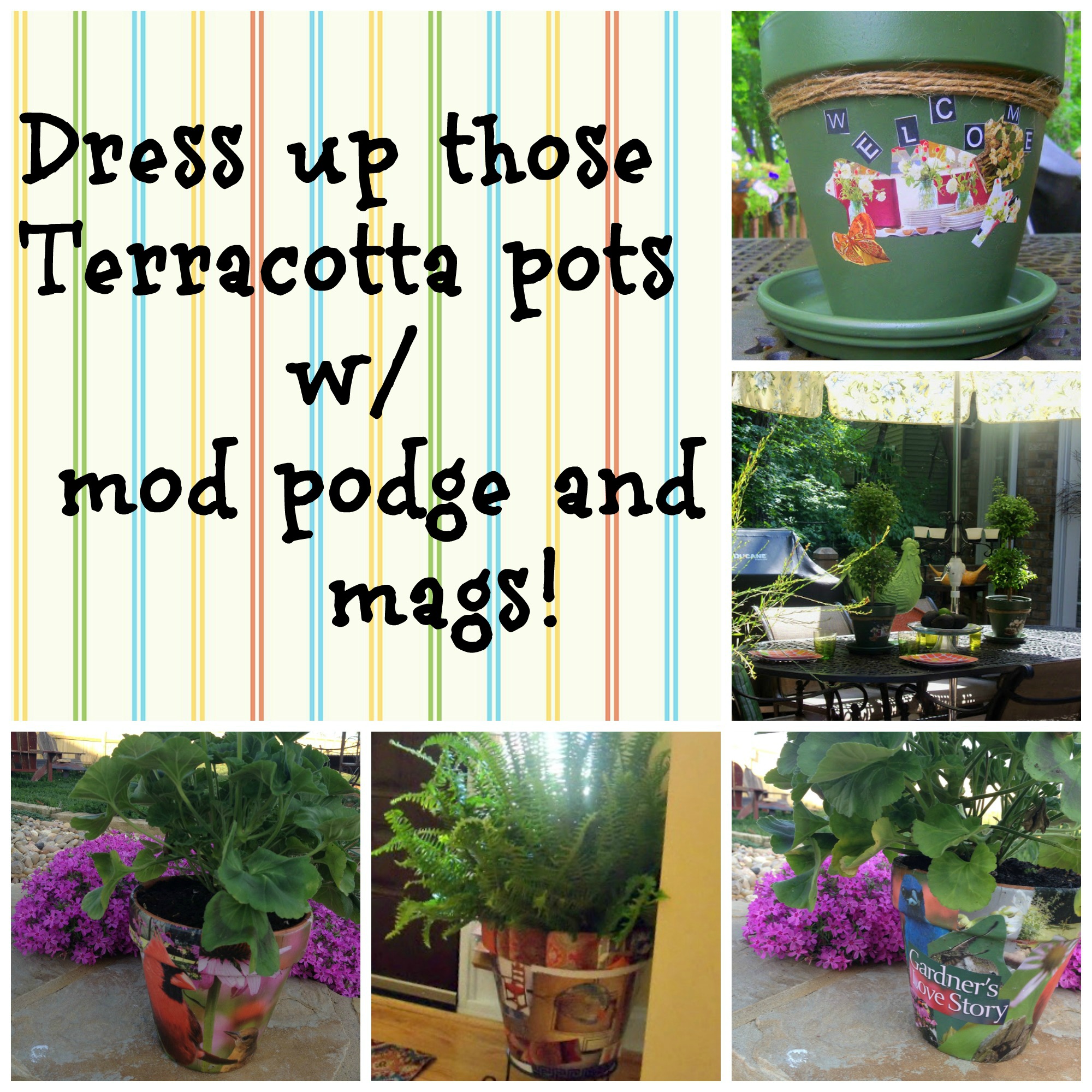 Mod podge Terra cotta pots with garden magazine clippings Debbiedoos