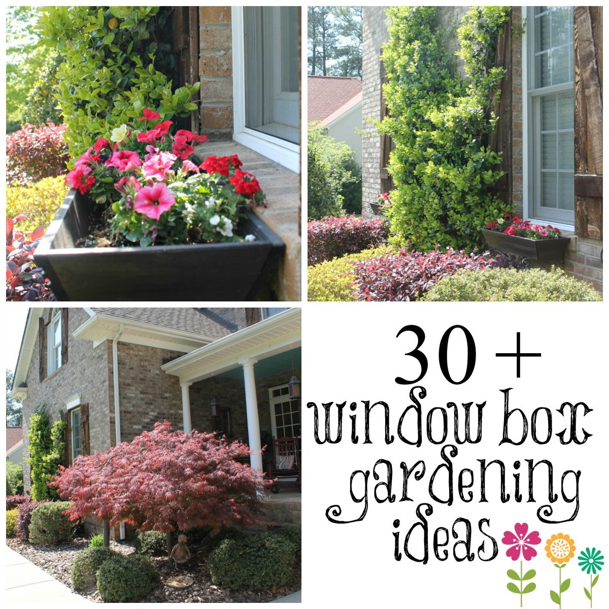 WOW your windows with window boxes - Debbiedoos