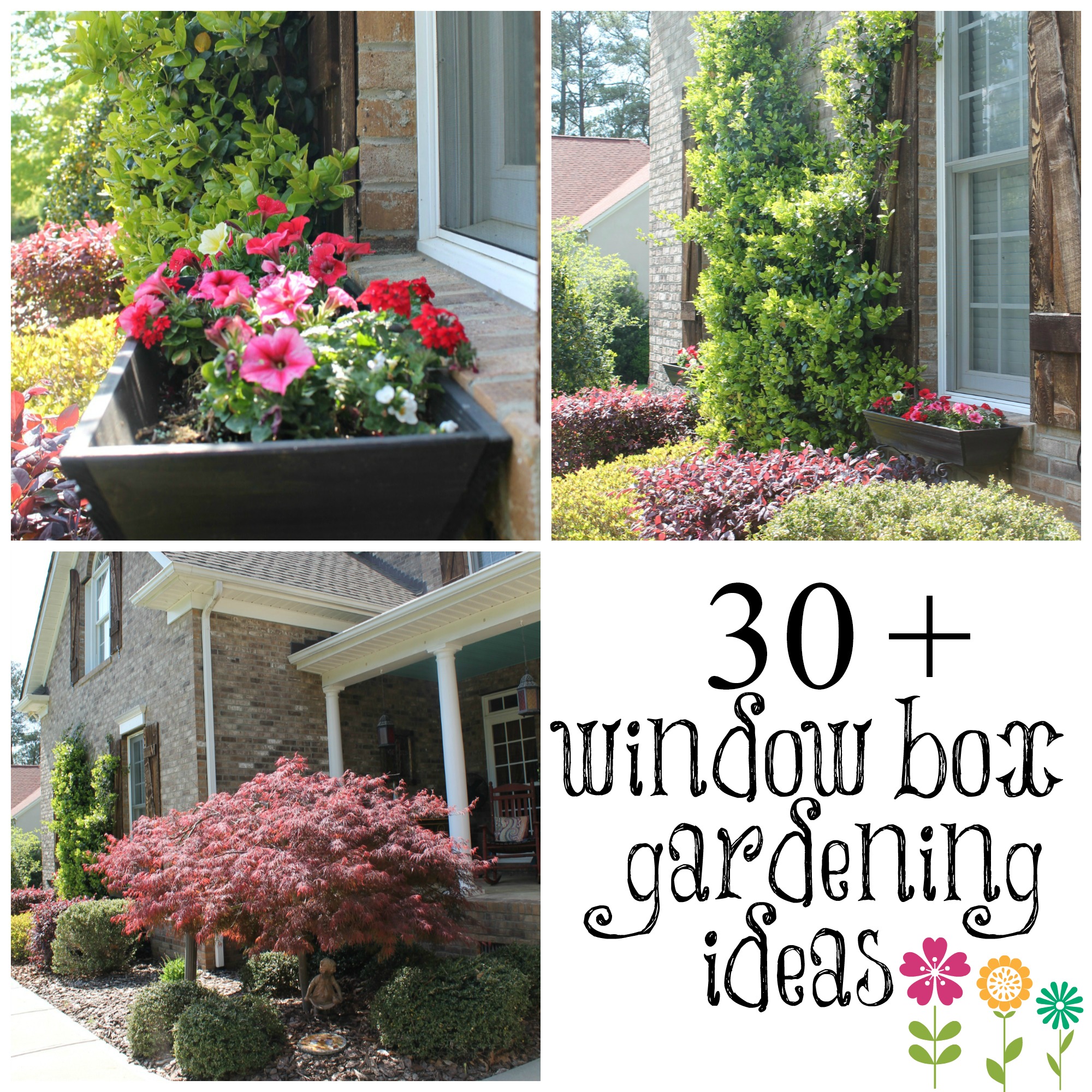 WOW Your Windows With Window Boxes Debbiedoos