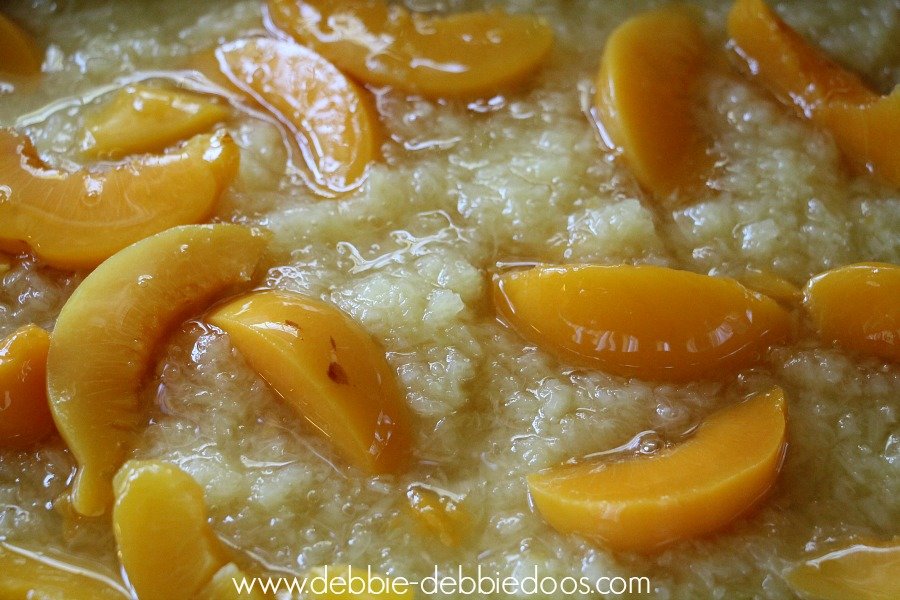 Can You Bake Canned Fruit In A Cake Can You Bake Canned Fruit In A Cake
