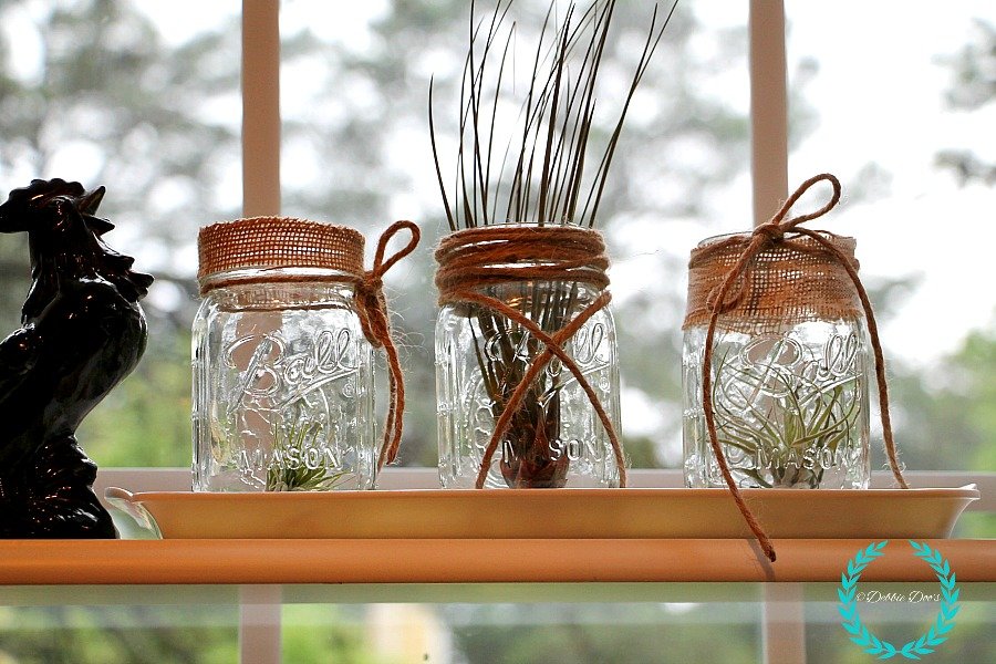 Air plant and burlap mason jar idea Debbiedoos