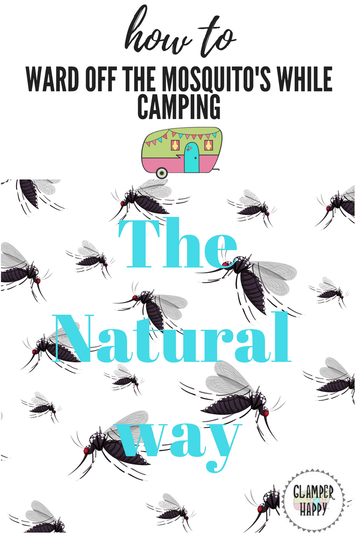 Glamper happy tips on keeping the mosquitoes away this summer Debbiedoos