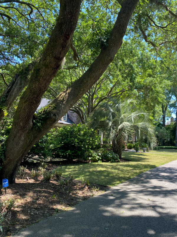 Charleston South Carolina James Island