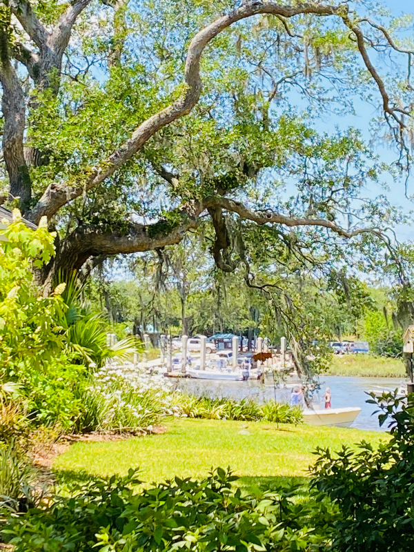 Charleston South Carolina James Island4